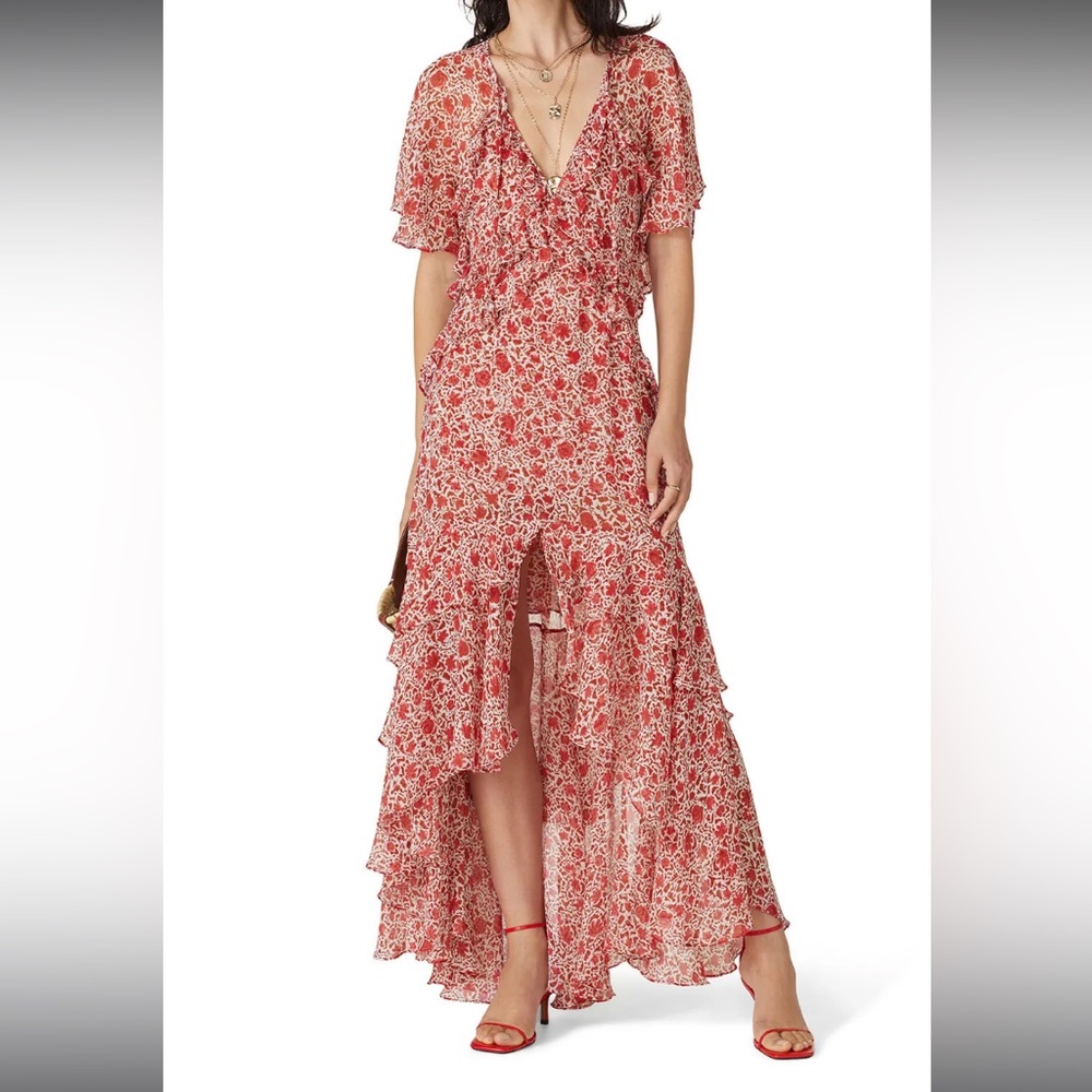 MISA Los Angeles Katarina Maxi Dress Rust Animal Floral